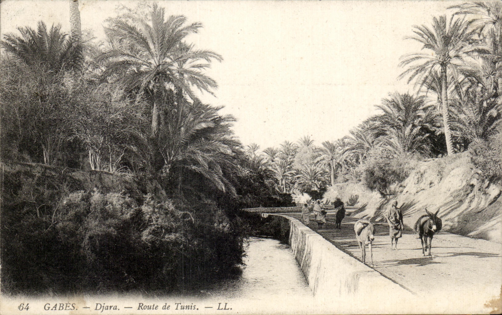 CPA Gabes Djara route de tunis Ane Donkey