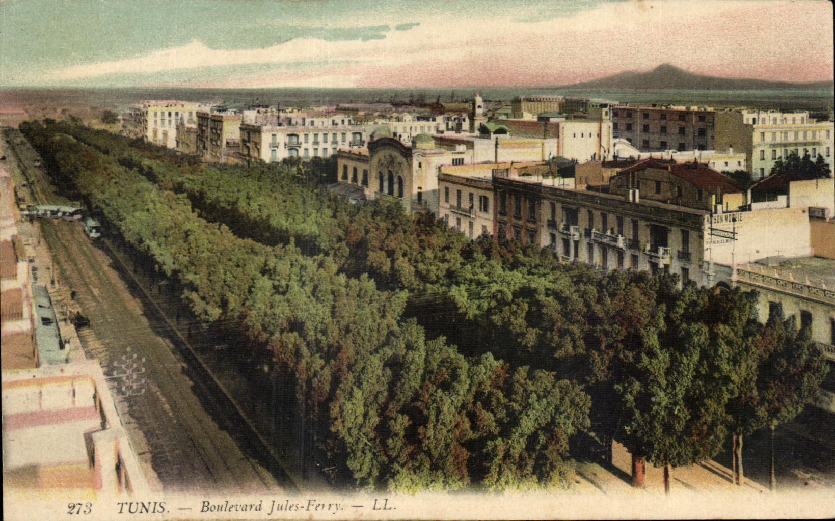 CPA Tunis Boulevarad Jules Ferry Tunisie