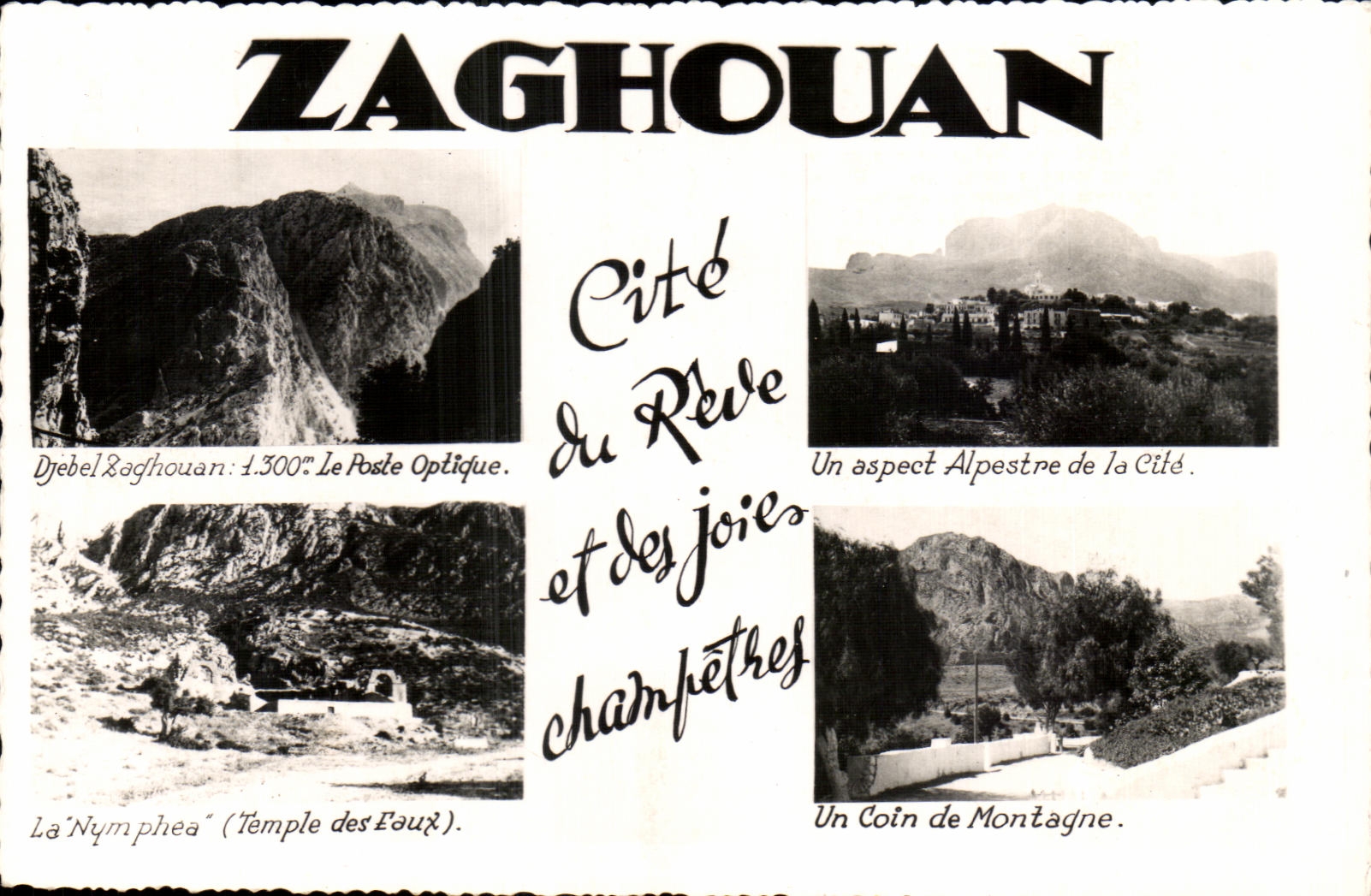 CPA Zaghouan Cite du Reve et des joies Champetres Tunisie