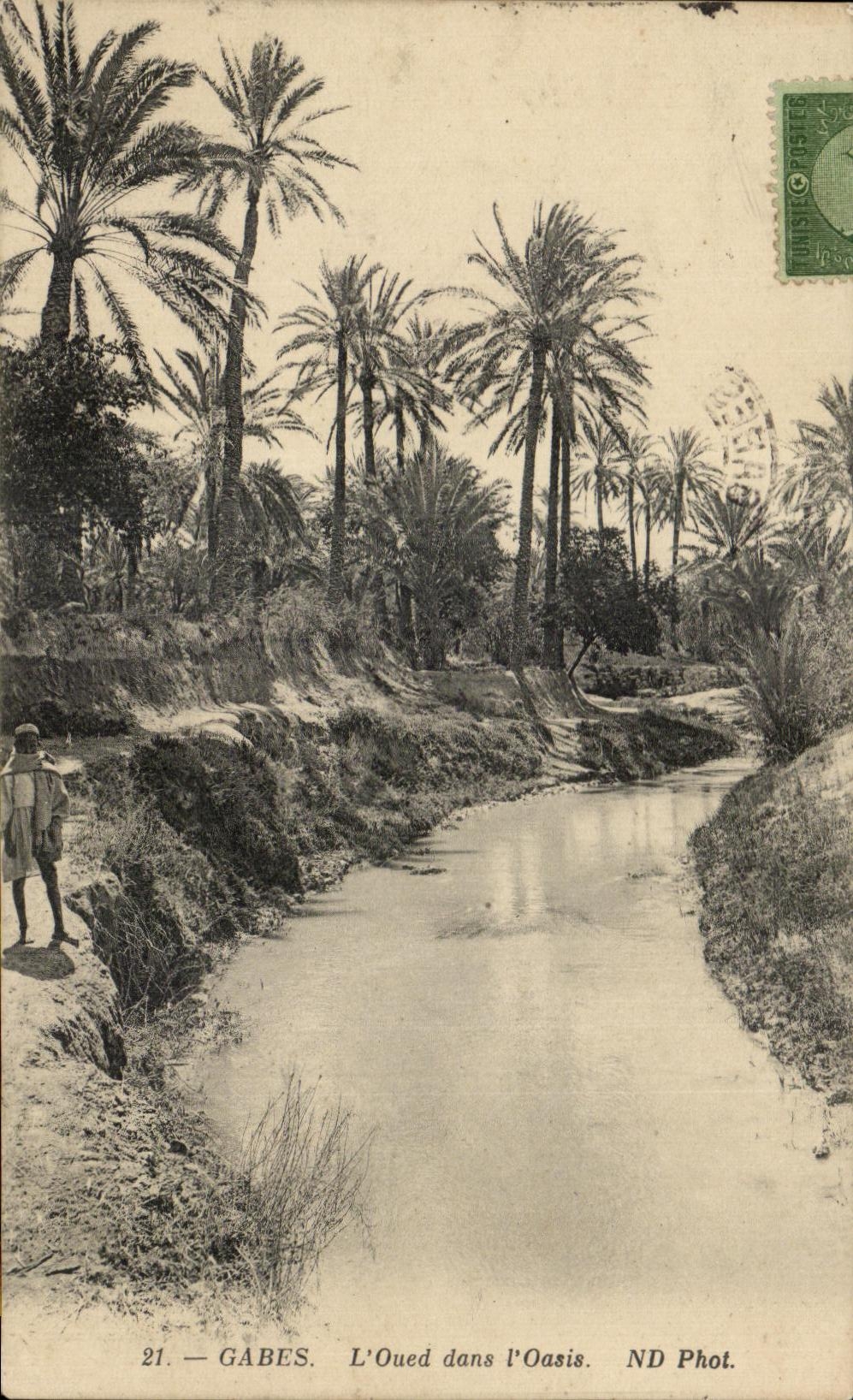 CPA Gabes L oued dans l Oasis Tunisie