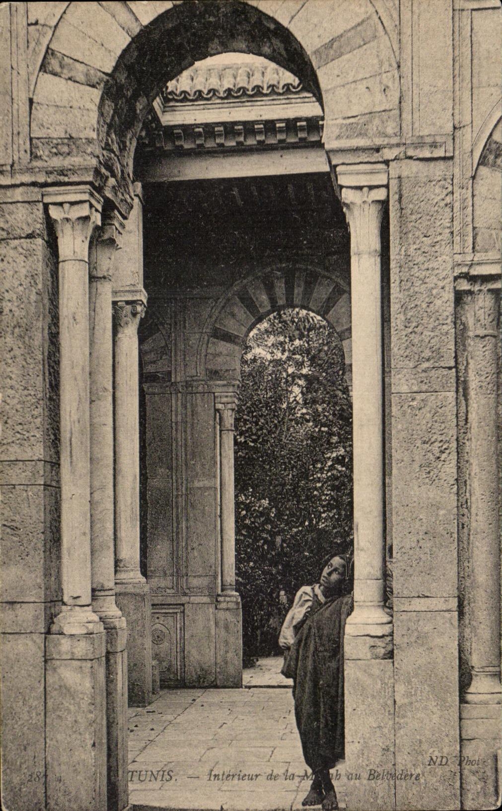 CPA Tunis Interieur Belvedere Tunisie