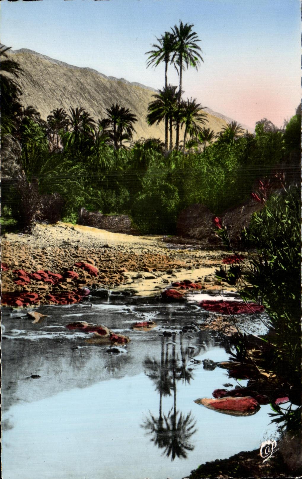 CPA Scenes Et Types Un Oued Tunisie