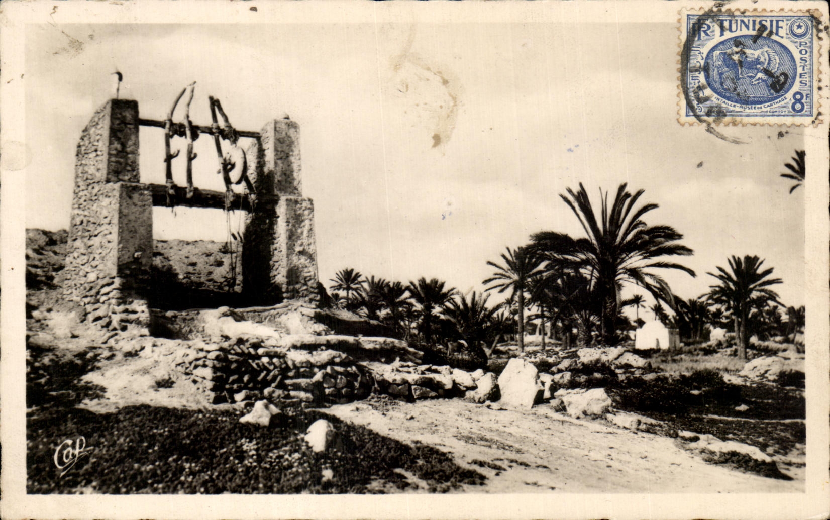 CPA Ile de Djerba Puits Arabe Tunisie