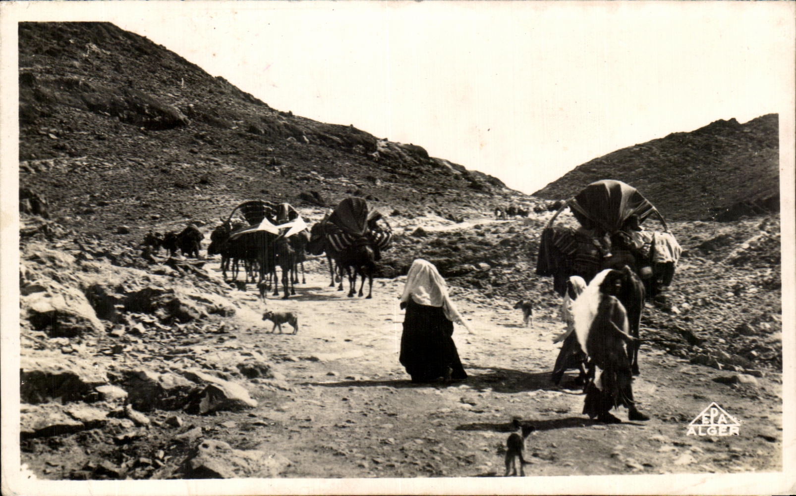 CPA Tunisia Scenes And Standard Caravan of Nomads