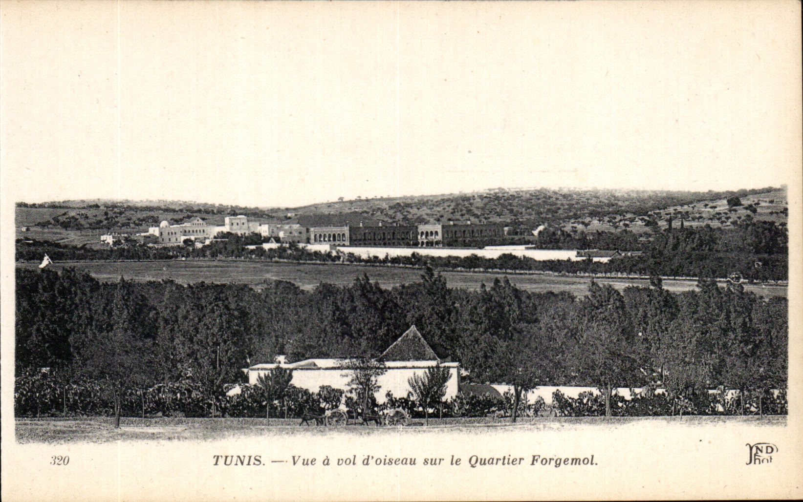 CPA Tunisia Tunis Vue has Vol Oiseau on the Forgemol District