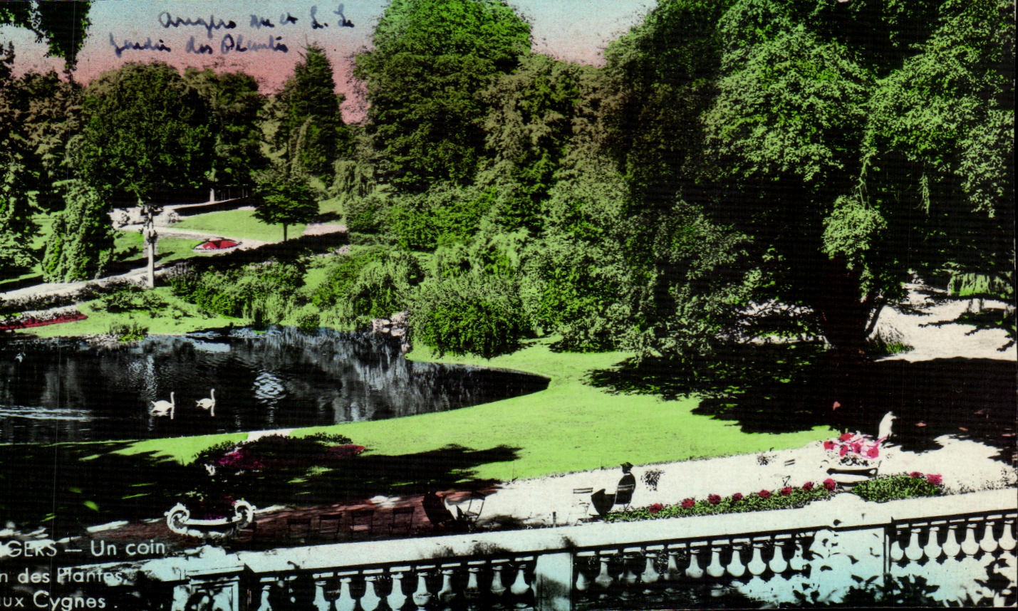 CPA Angers Un coin des Plantes dux Cygnes