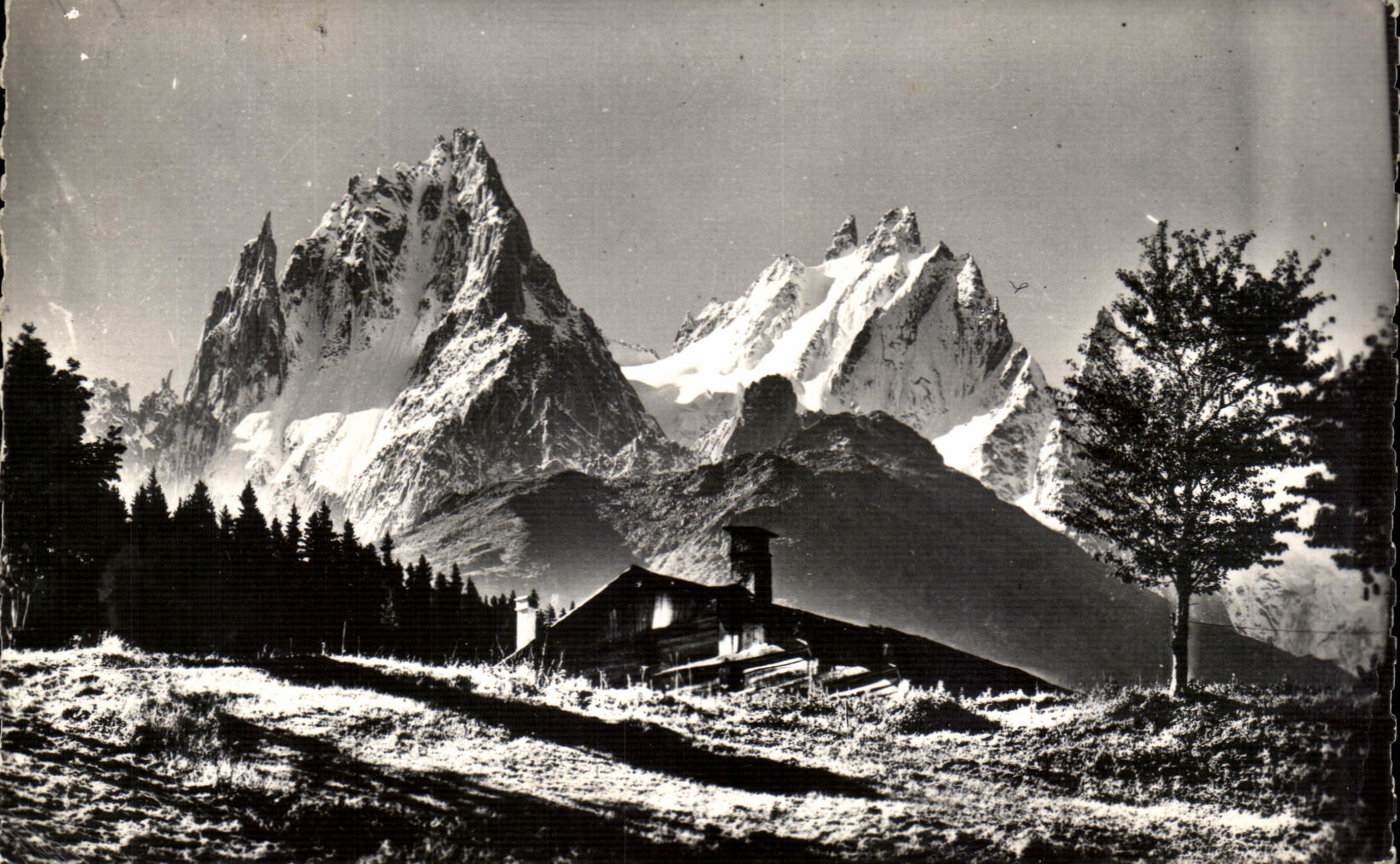 CPA Au Pays Du Mont Blanc 