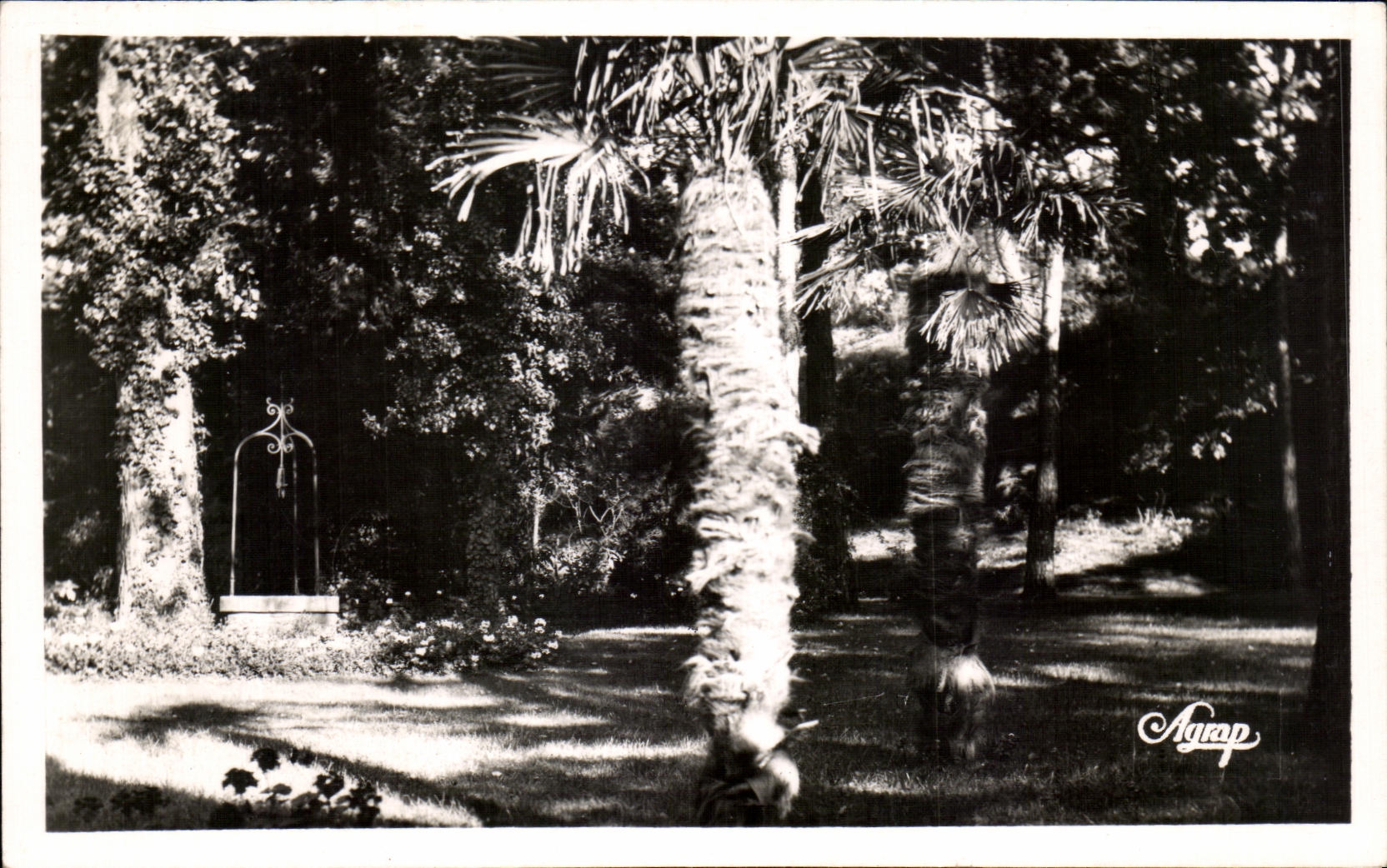 CPA La Baule the Pines Park of Deyades Palm trees and Puit Love