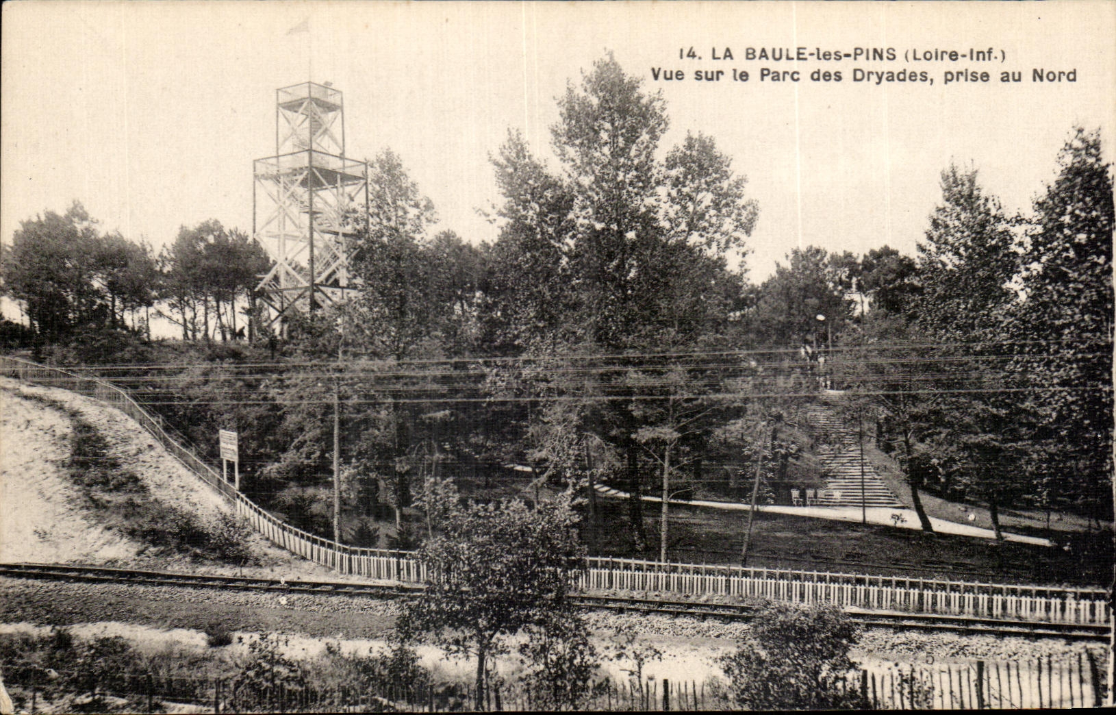 CPA La Baule Pines Seen on the Park of Dryades taken in North