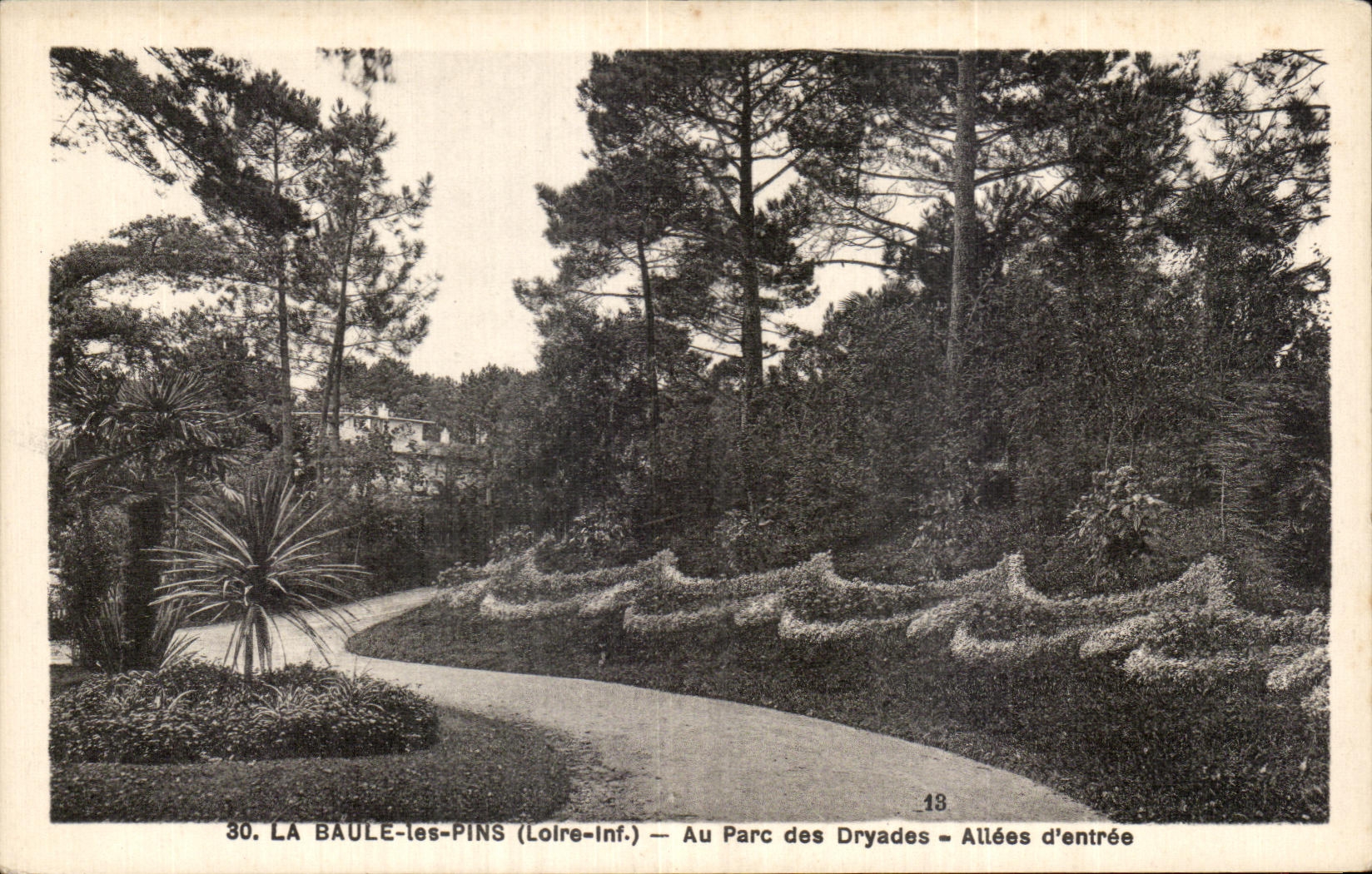 CPA Baule Pines With the Park of Dryades Gone Entering