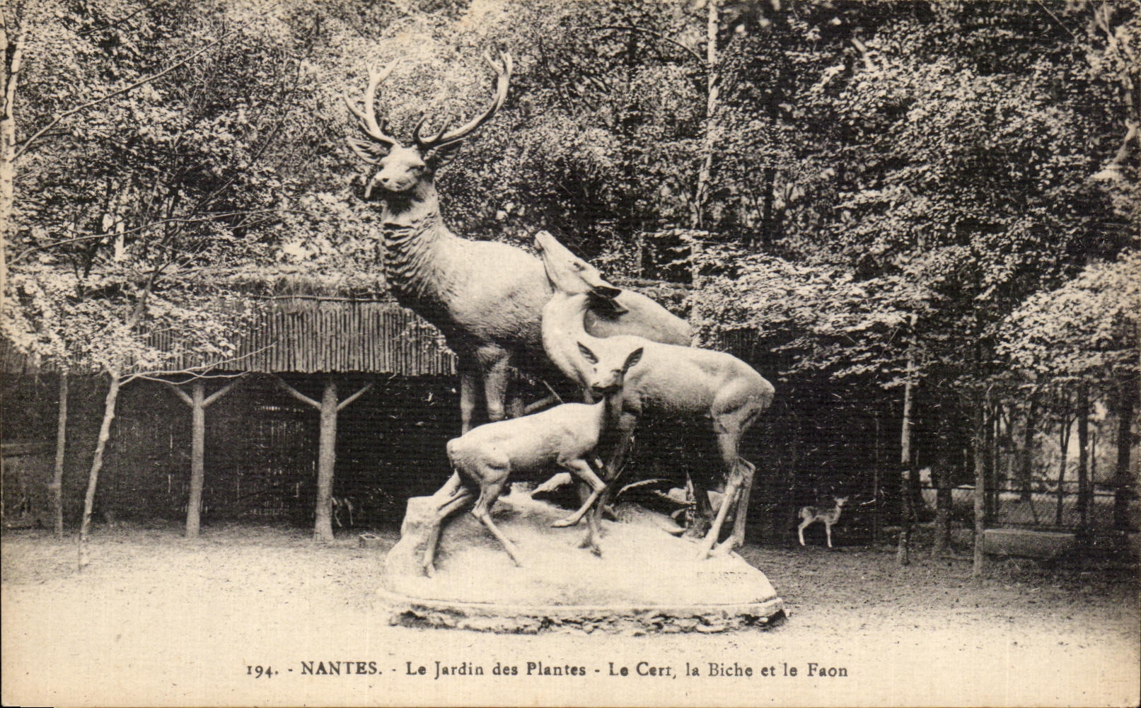 CPA Nantes Jerdin of the Plants the Stag the Hind and the Fawn