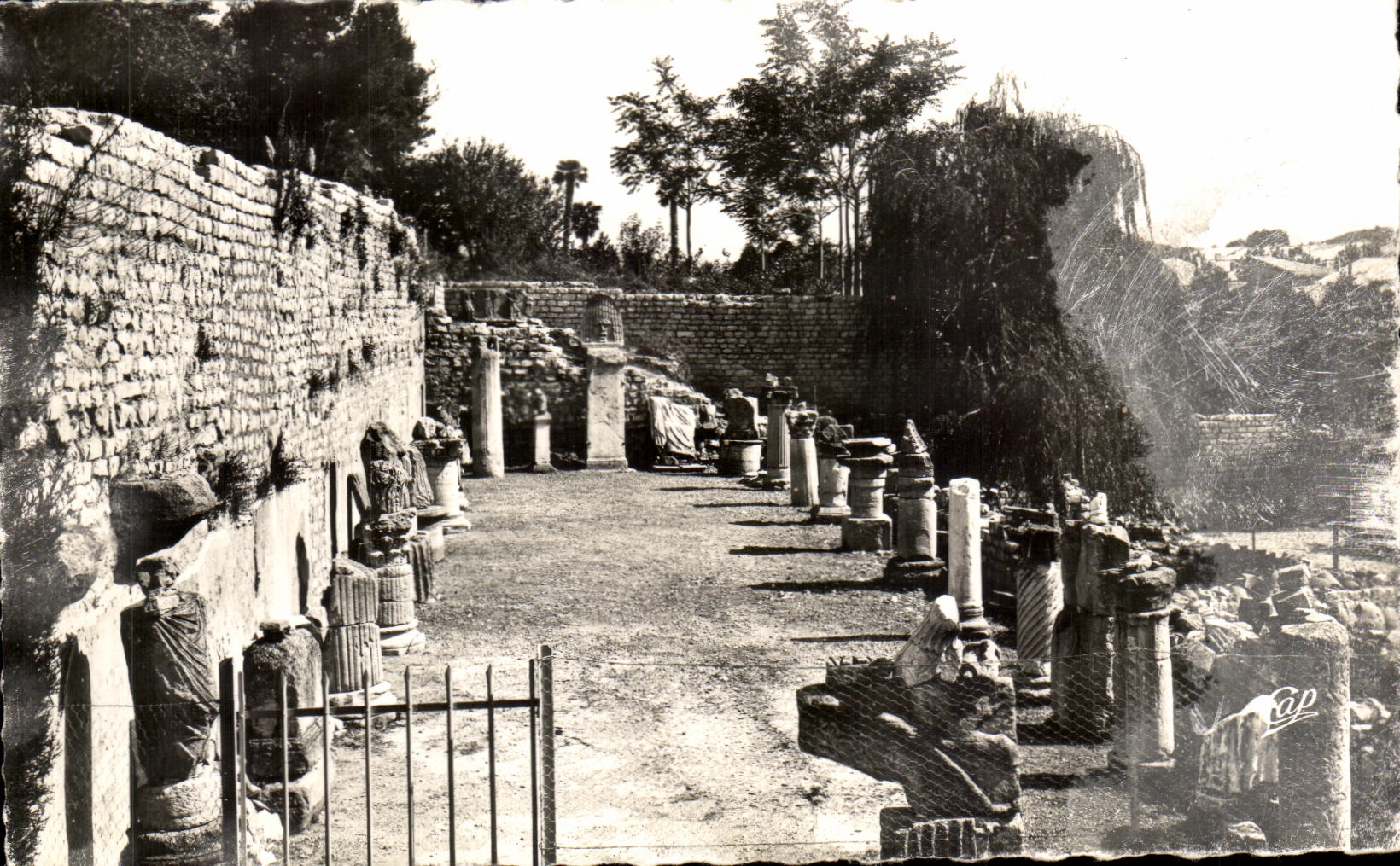 CPSM Vaison the Roman Details of the new Excavations