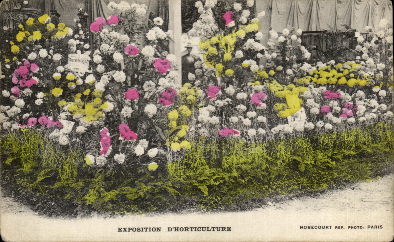 CPA Exposition D Horticulture Paris fleurs