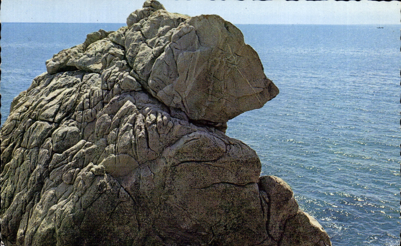 CPSM la dimension el gran oso de Whodunnit del oso polar de la dimension