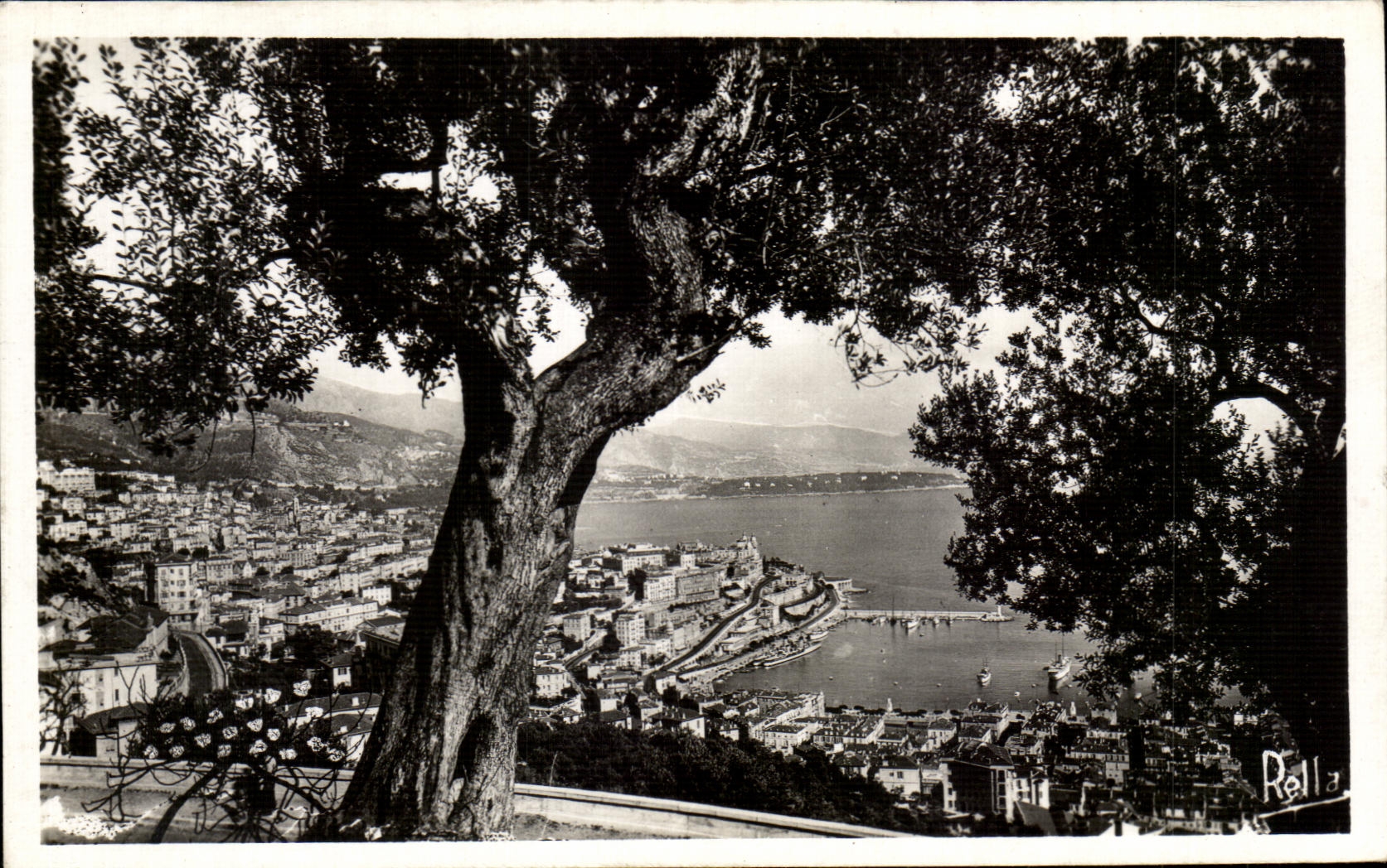 CPA Monte Carlo a travers les Oliviers Collection la Cote D Azur