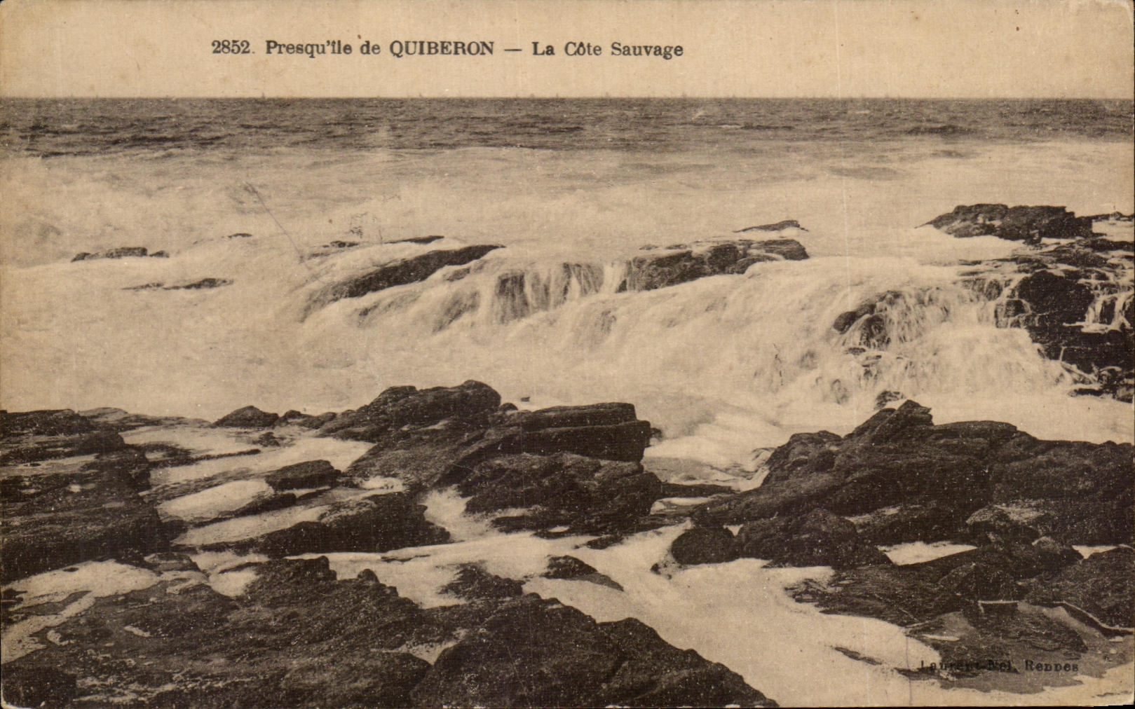 CPA Presqu ile de Quiberon La Cote Sauvage