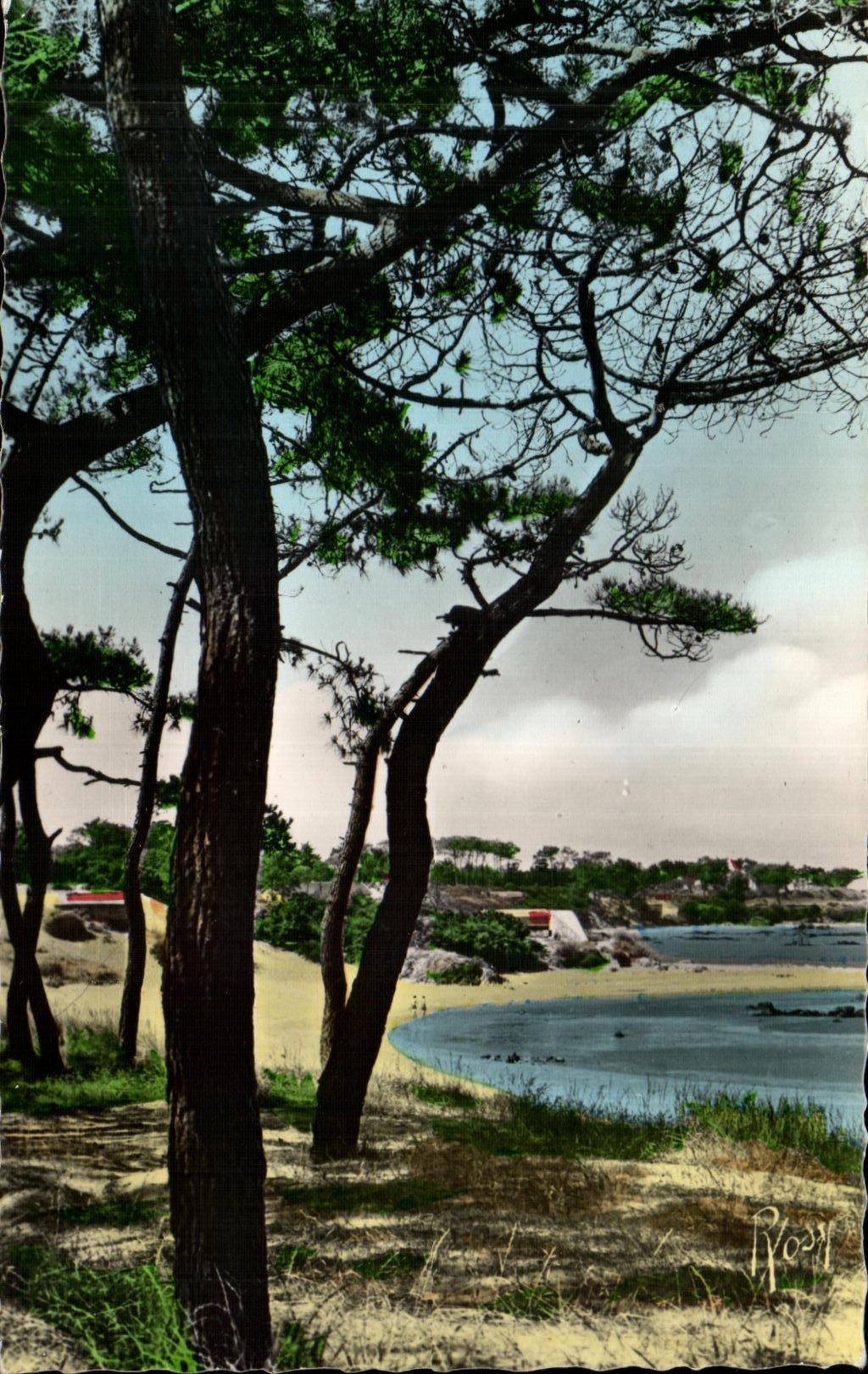 Santo Brevin de CPA la dimension