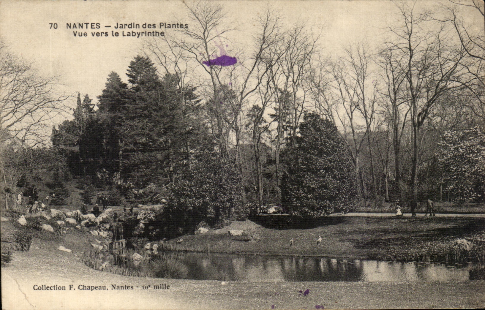 CPA Nantes Botanical garden Seen towards the Labyrinth