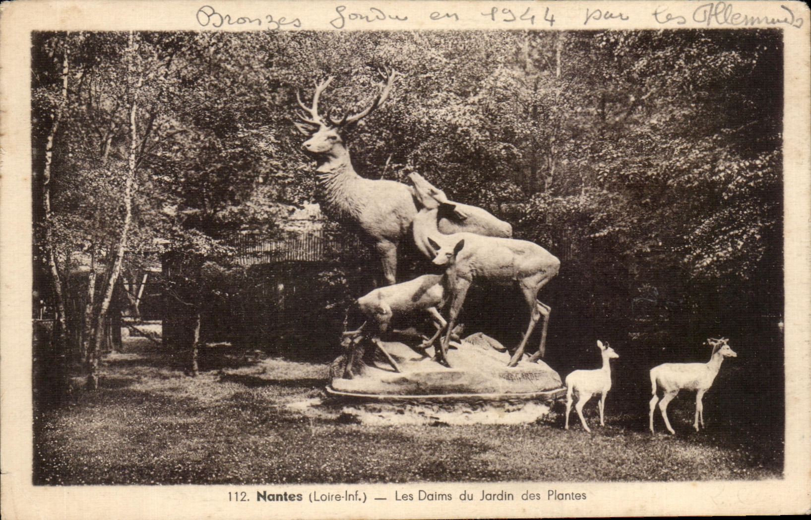 CPA Nantes Deer of the Botanical garden