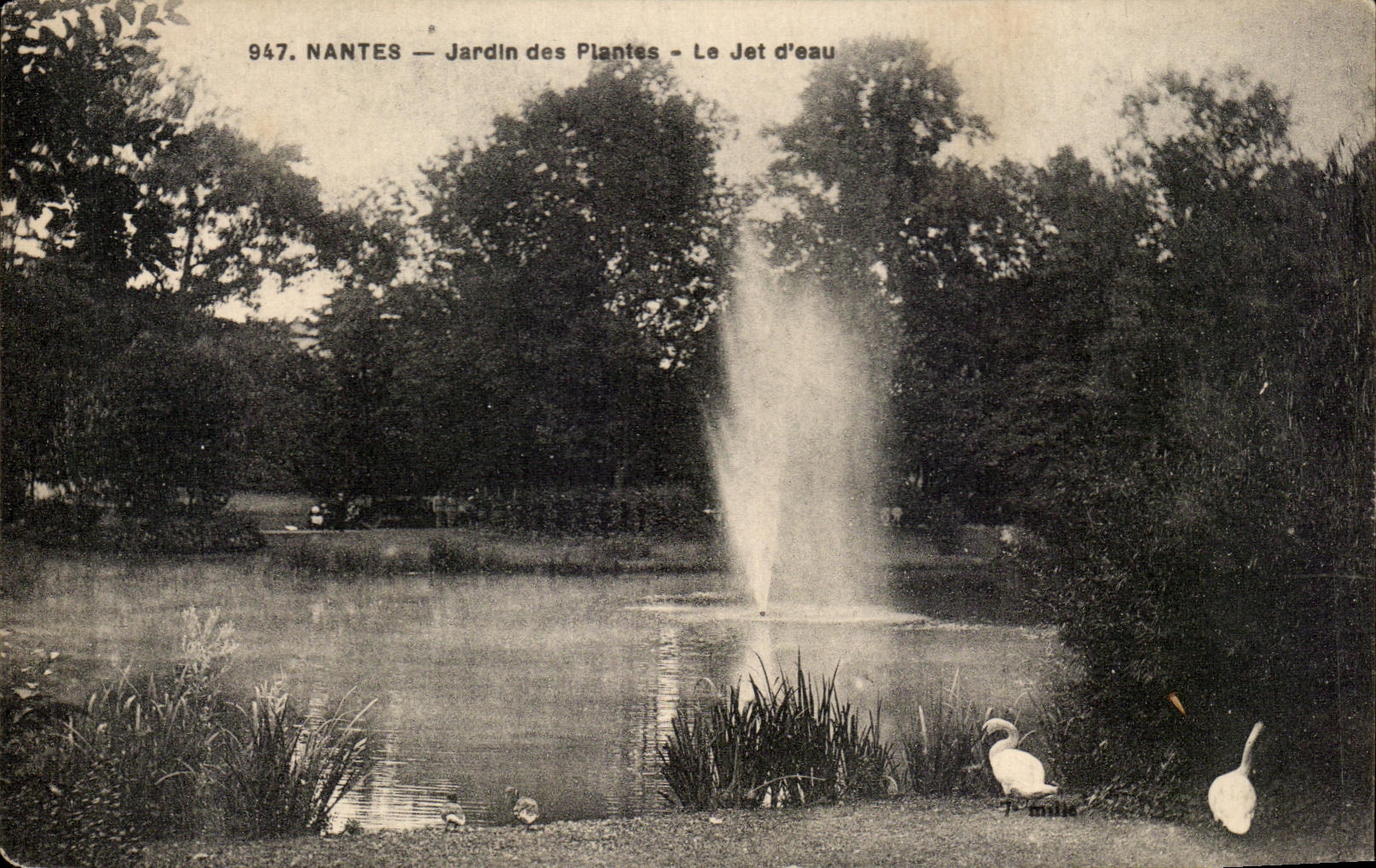 CPA Nantes Botanical garden the Jet water