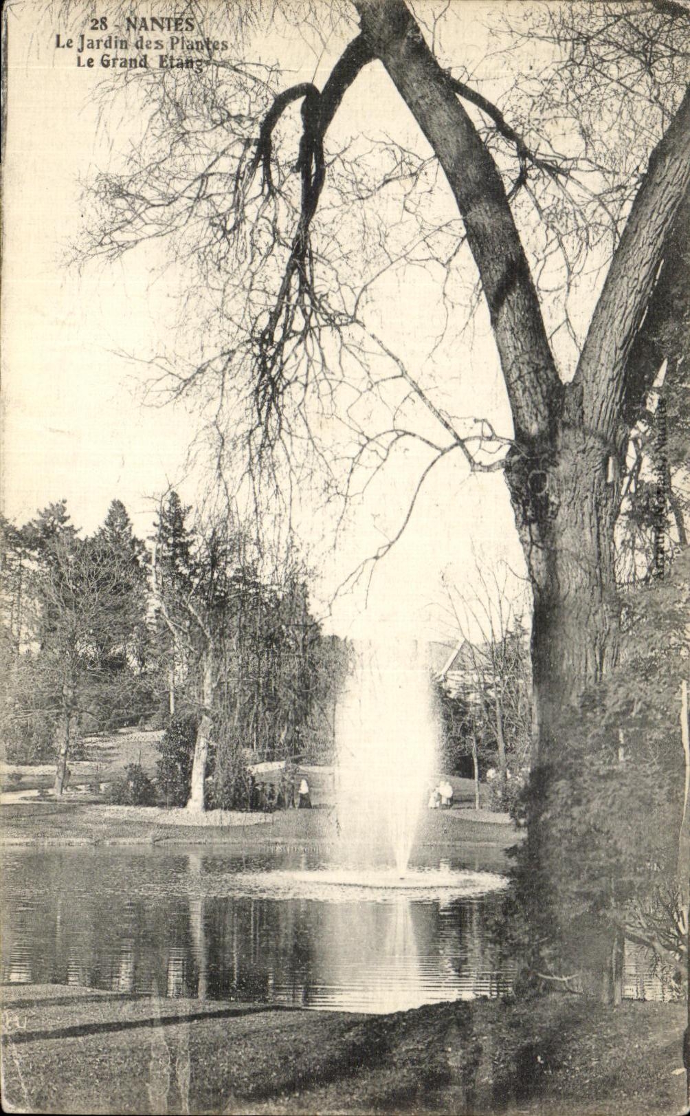 CPA Nantes the Botanical garden the Large pond