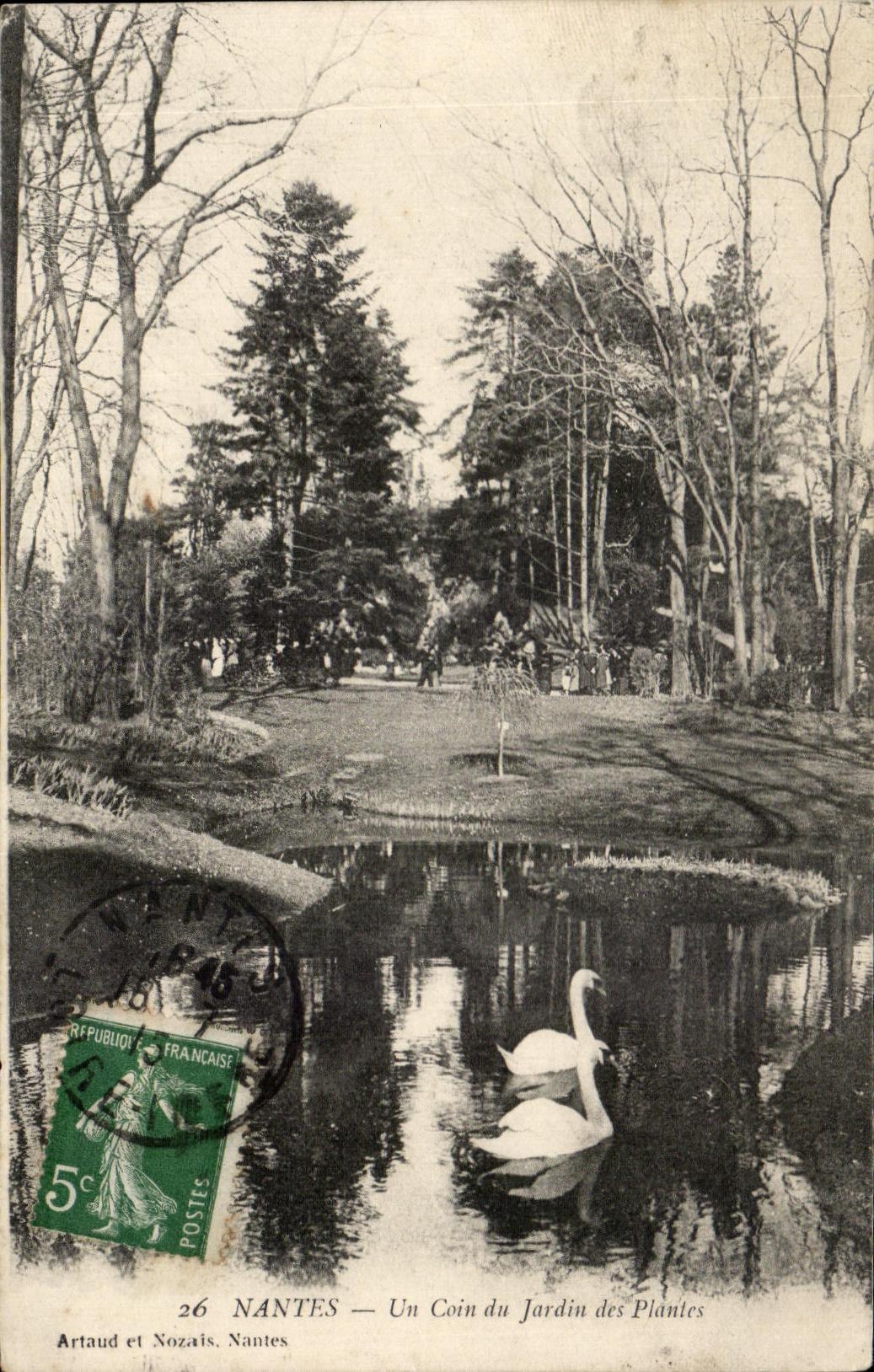 CPA Nantes a Corner Of the Botanical garden Swan Swan