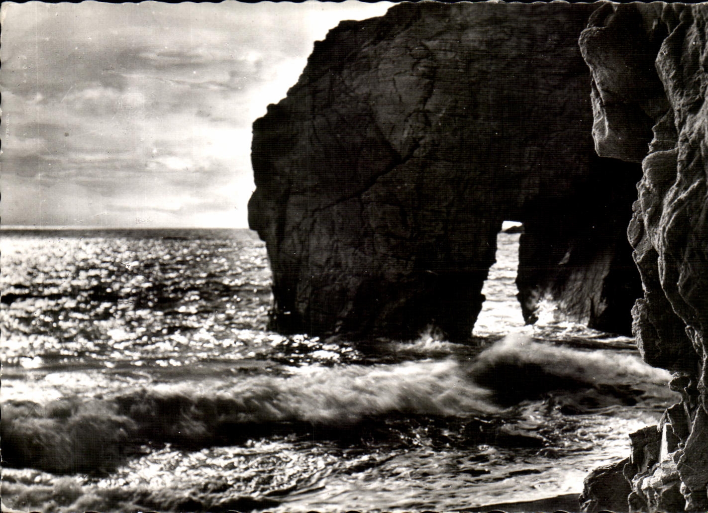 CPA Quiberon Dimensions Wild Presquile of