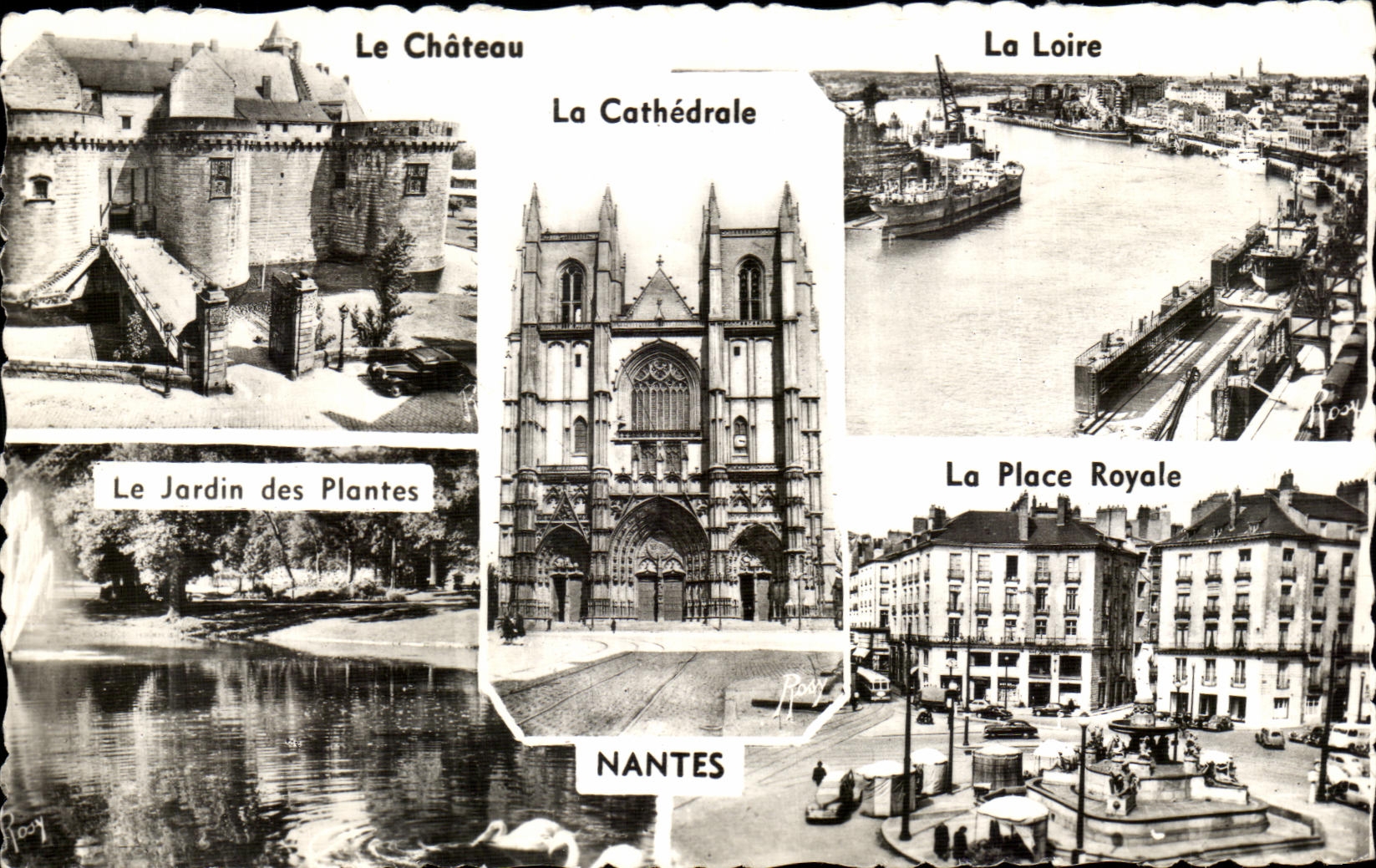 CPA Nantes the Botanical garden the Royal Place