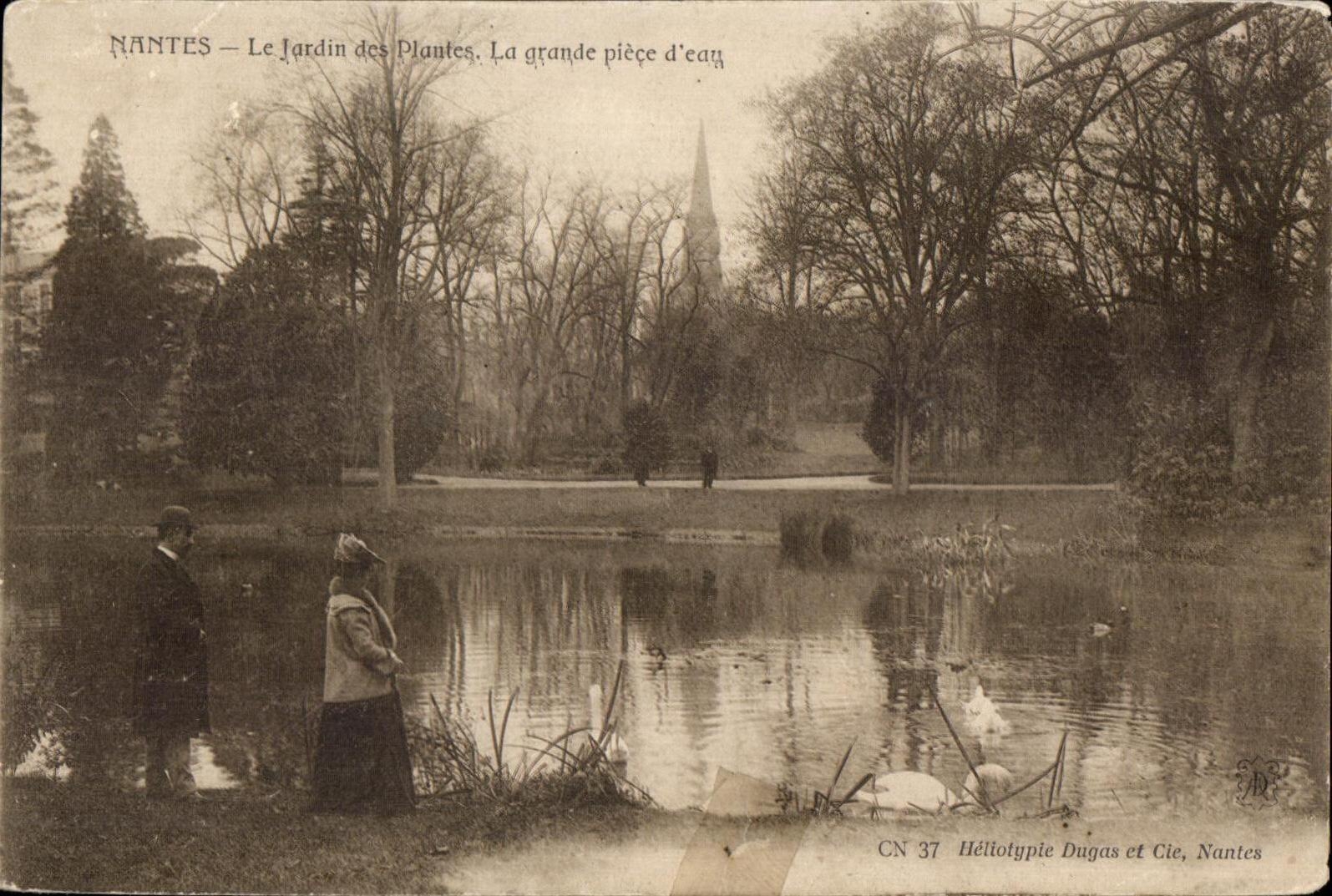CPA Nantes the Botanical garden the large Part water Swan Swan