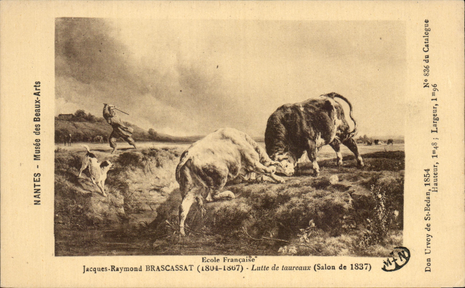 CPA Nantes Musee of Brascassat Beautiful arts Fights of bulls