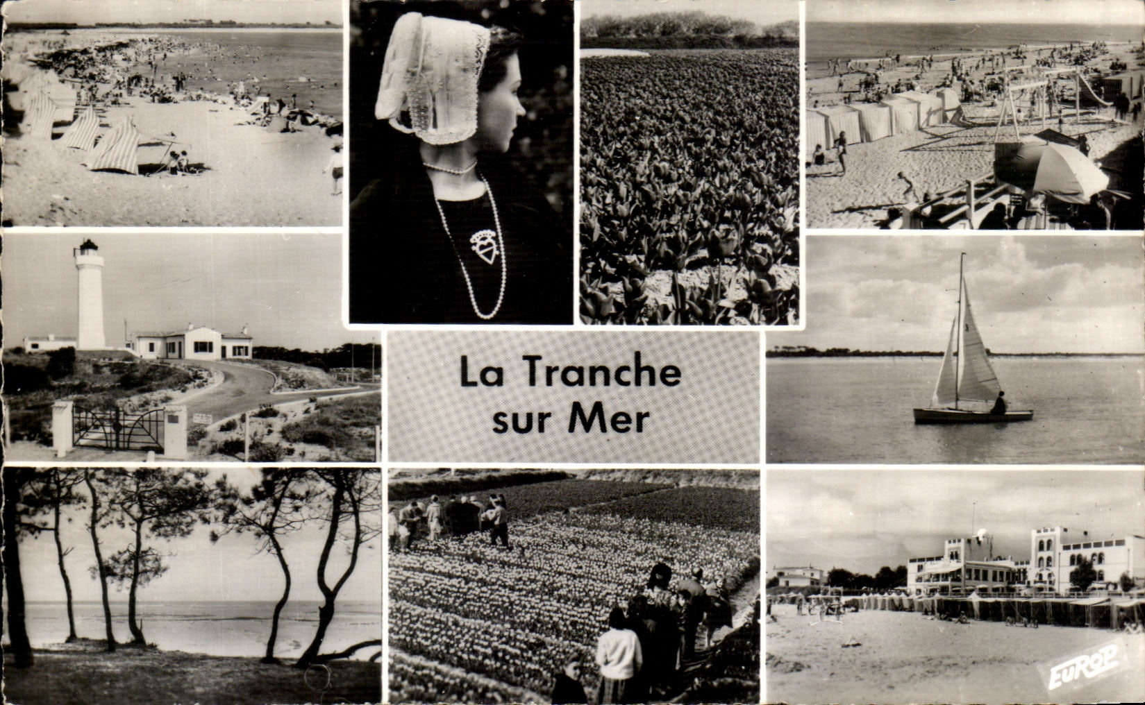 CPA the Section on Sea