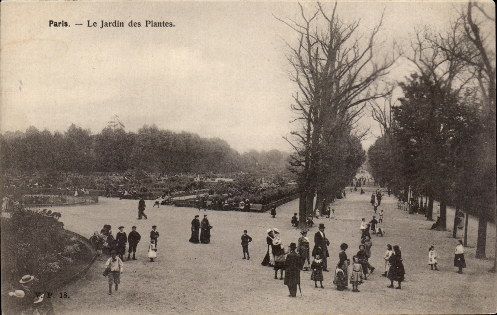 CPA Paris the Botanical garden Children