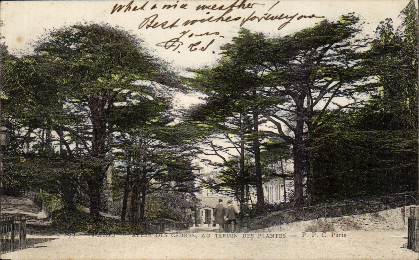 CPA Paris Of the Cedars To the Botanical garden