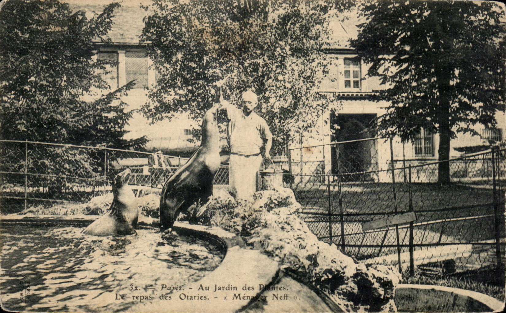 CPA Paris With the Botanical garden the meal of the Otaries