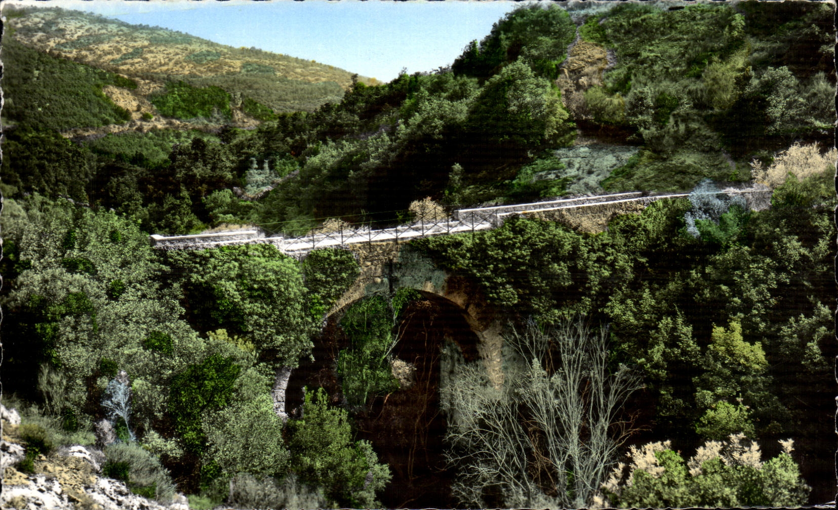CPA Saint Vallier De Thiey Station Estivale Pont sur la Siagne