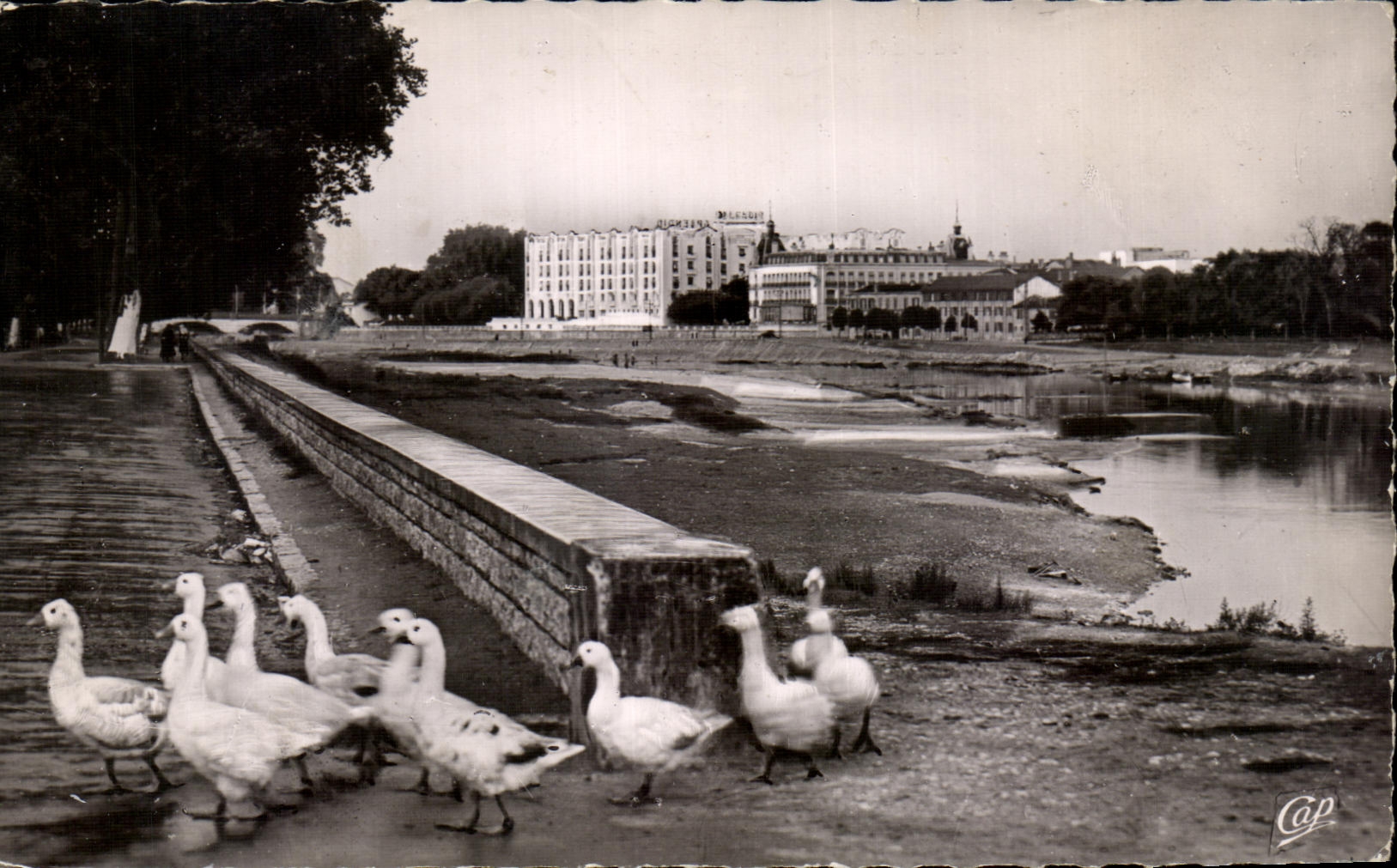 Bordes de CPSM Dax de Adour