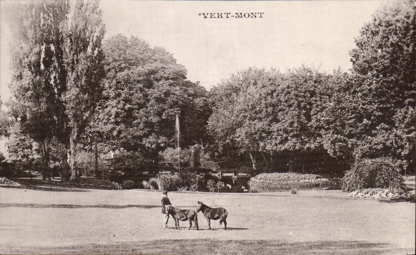 Caballo verde del caballo del potro de los potros del montaje de CPA