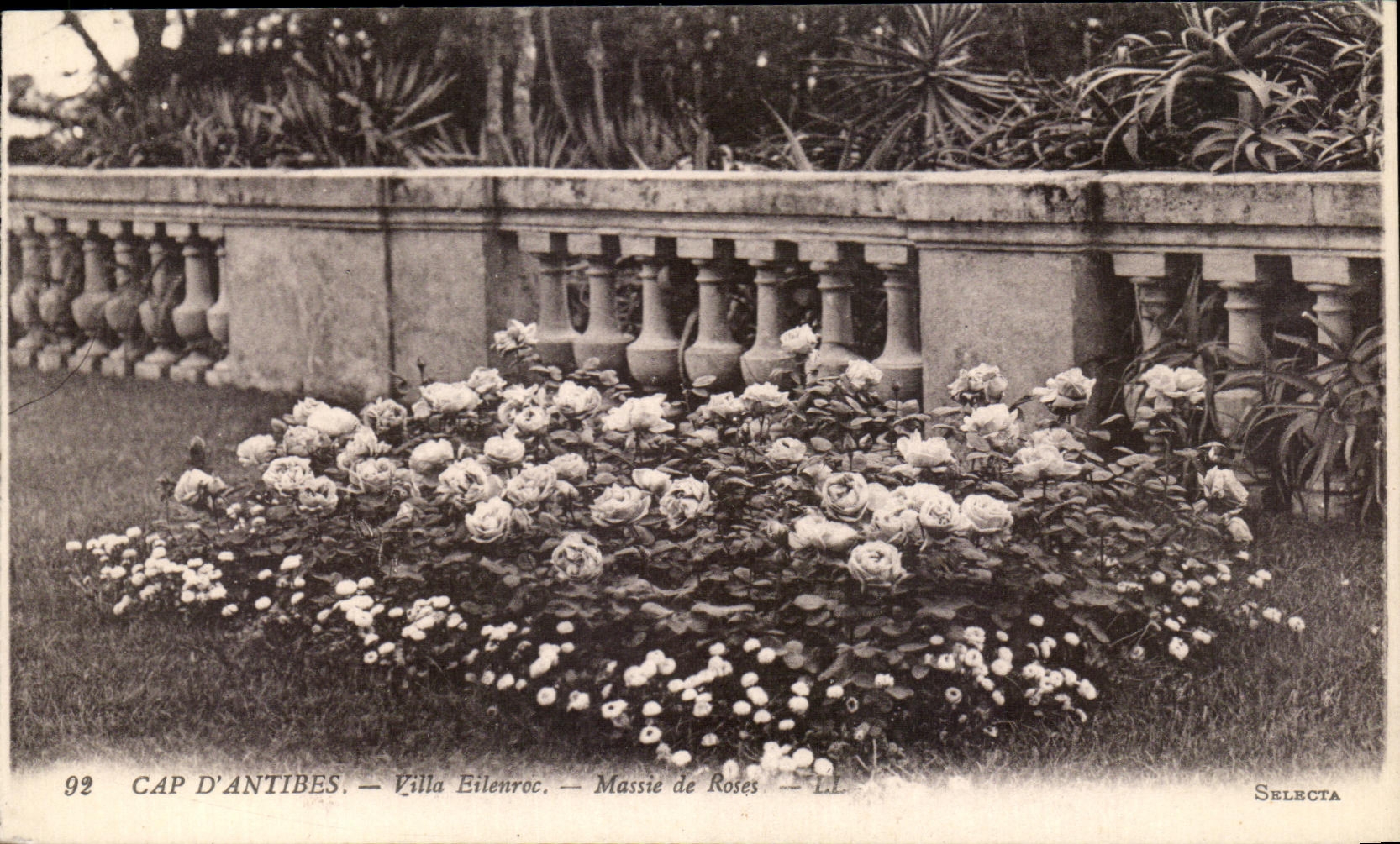 CPA Antibes Ville Eilenroc Massie de Roses