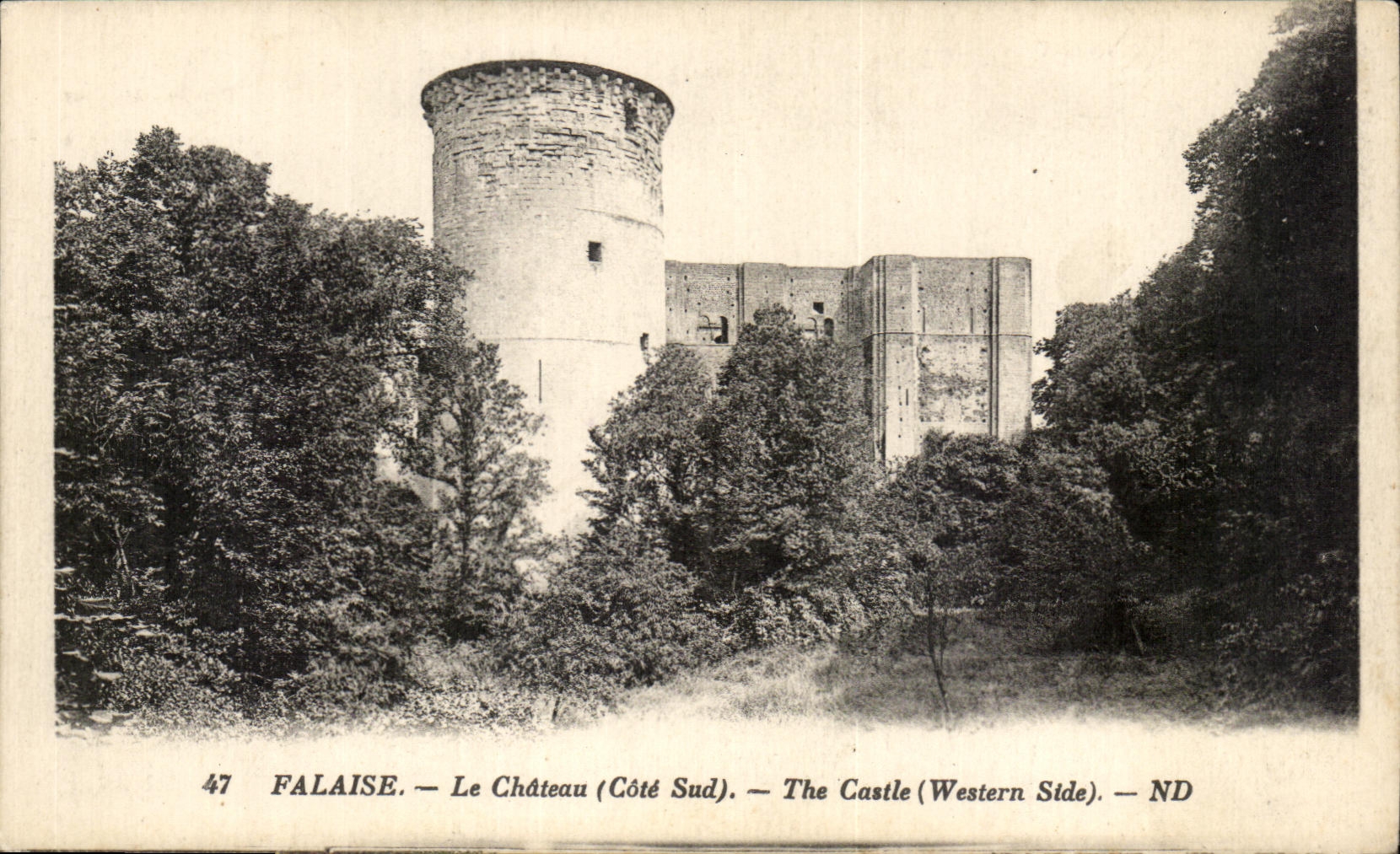 CPA Falaise Le Chateau (Cote Sud) The Castle (Westerm Side)