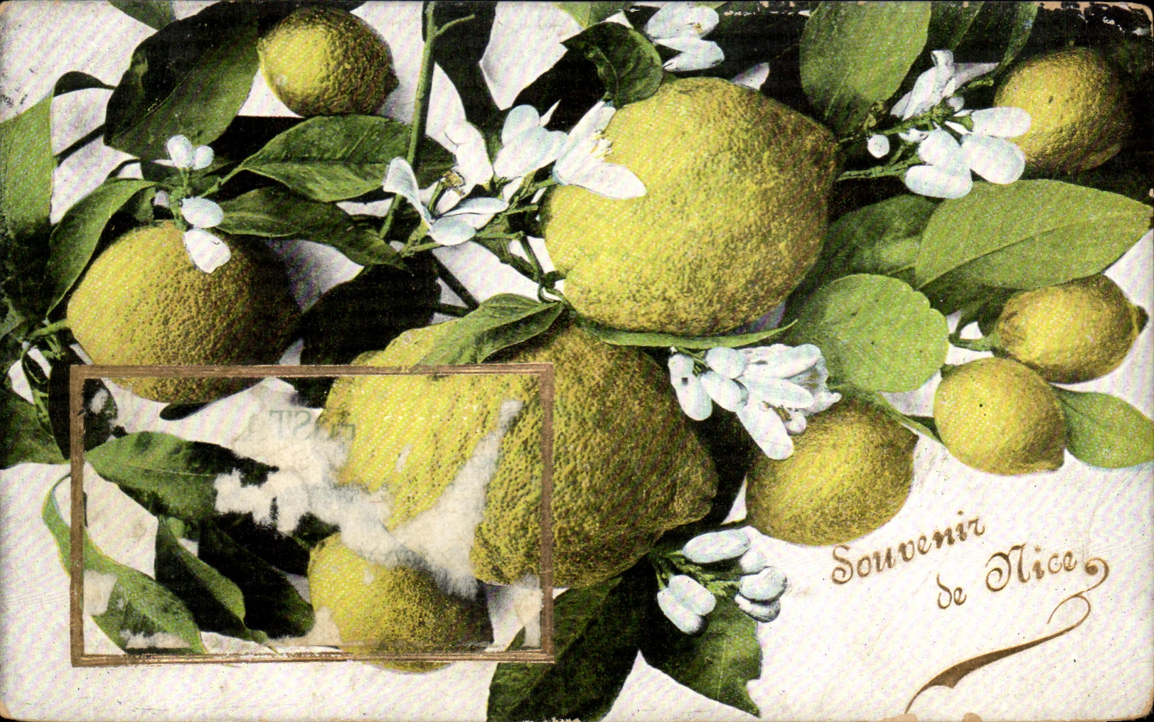 Recuerdo de CPA Niza del limon amarillo limon