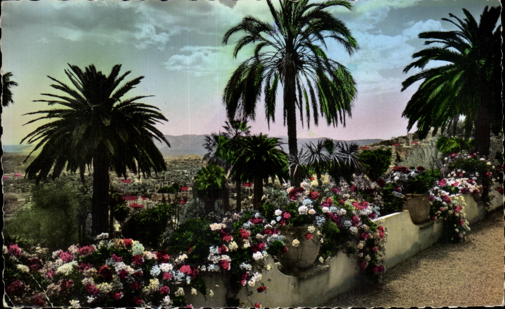 CPA graso su vegetacion exatic con encontrado el mediterrAneo