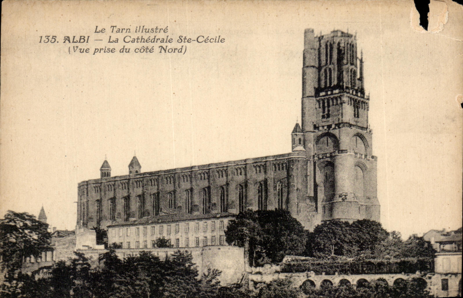 CPA el Tarn ilustra Albi la catedral Cecile (vease de la dimension nortena)