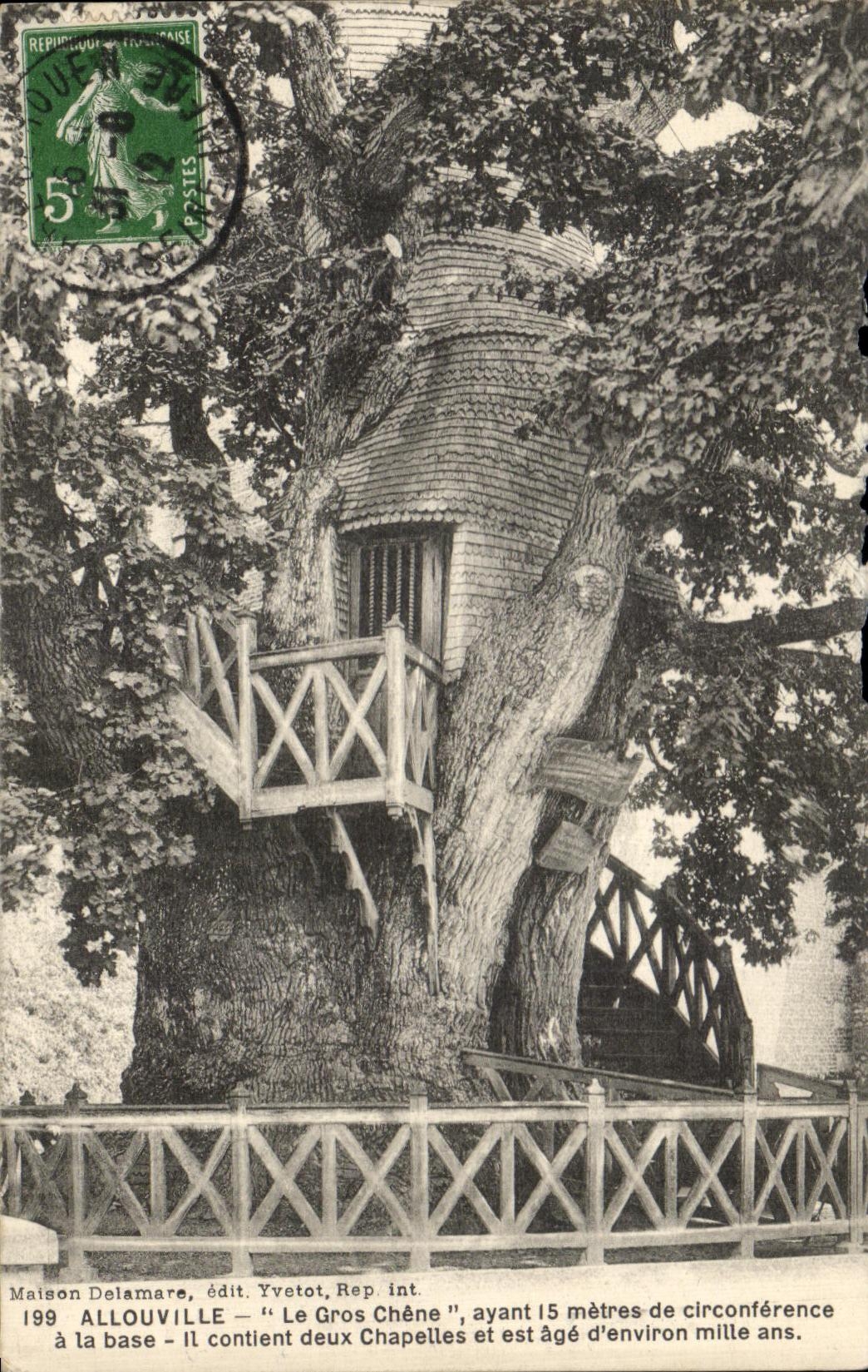 CPA Allouville the Large Oak having 15 bills of quantities of circumference