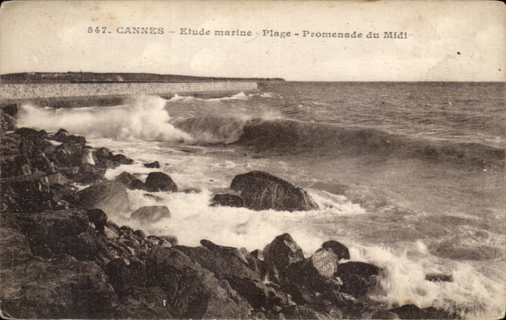 CPA Cannes Etude marinades Plage