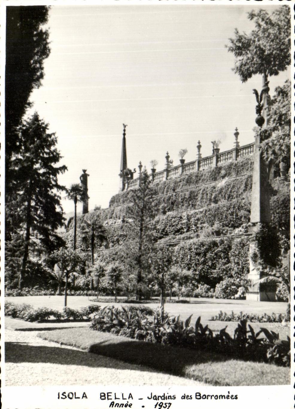 CPA Isola Bella Jardins des Barramees 1957