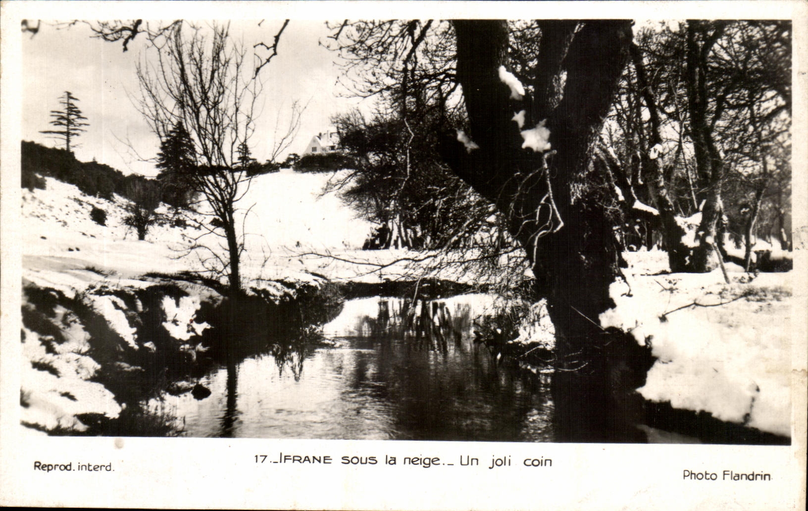 CPA Ifrane Under snow a pretty Morocco corner