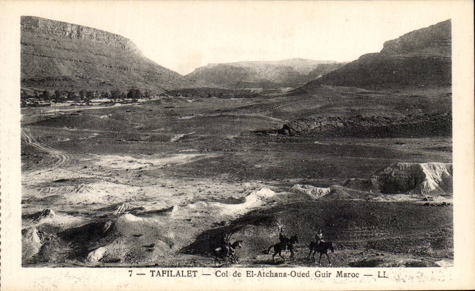 CPA Tafilalet Collar of El Atchana Wadi Guir Morocco Horse Horse