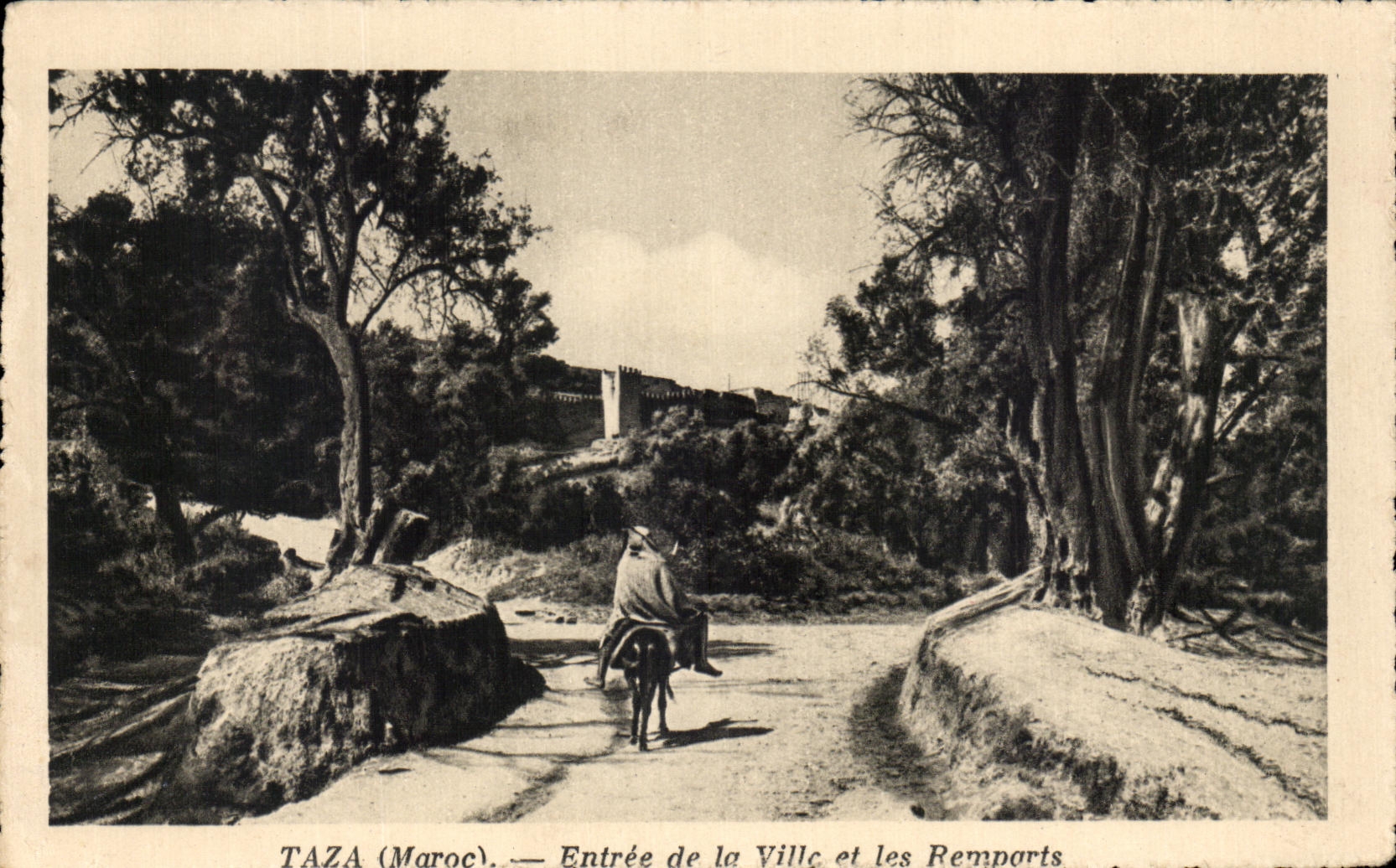 CPA Taza Entrance of the City and the Morocco Walls