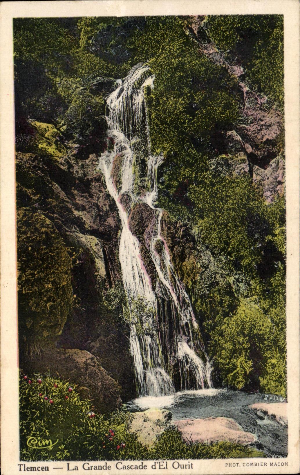 CPA Tlemcen La Grande Cascade d El Ourit