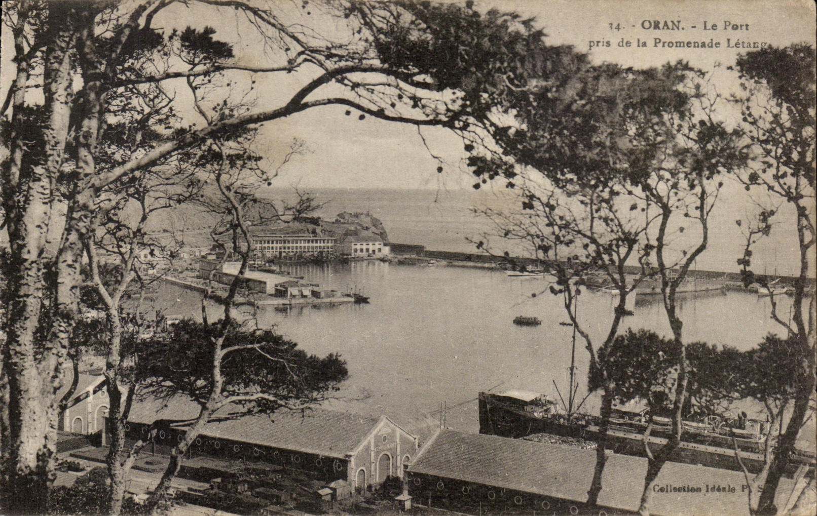 CPA Oran the Port taken of the Letaug Walk